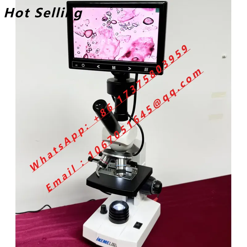 Medical Lab Microscope - Microscopi Binoculari Biologici Digitali WEIAI con