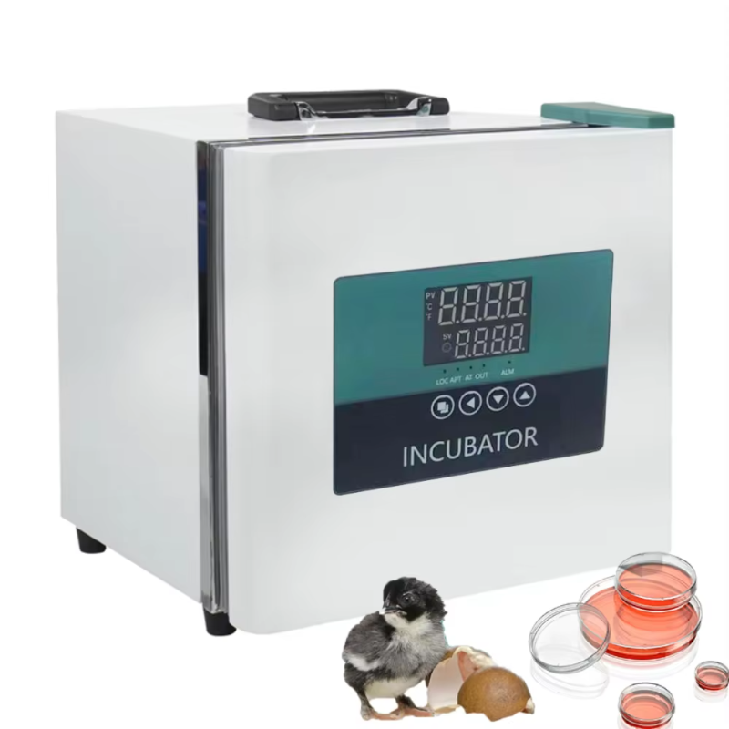 Incubatore Portatile da Labora - Medical Lab Microbiology recensione e prezzo