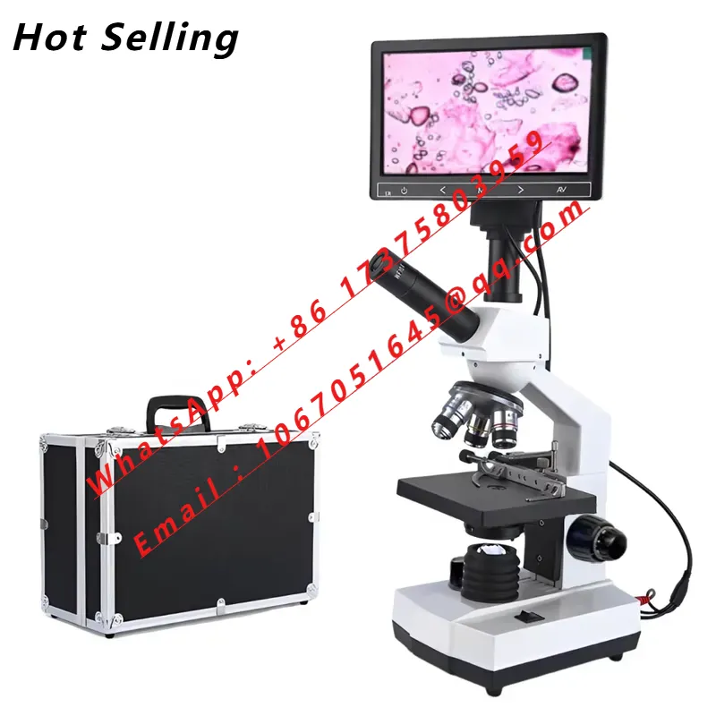 Microscopi Binoculari Biologic - Medical Lab Microscope recensione e prezzo