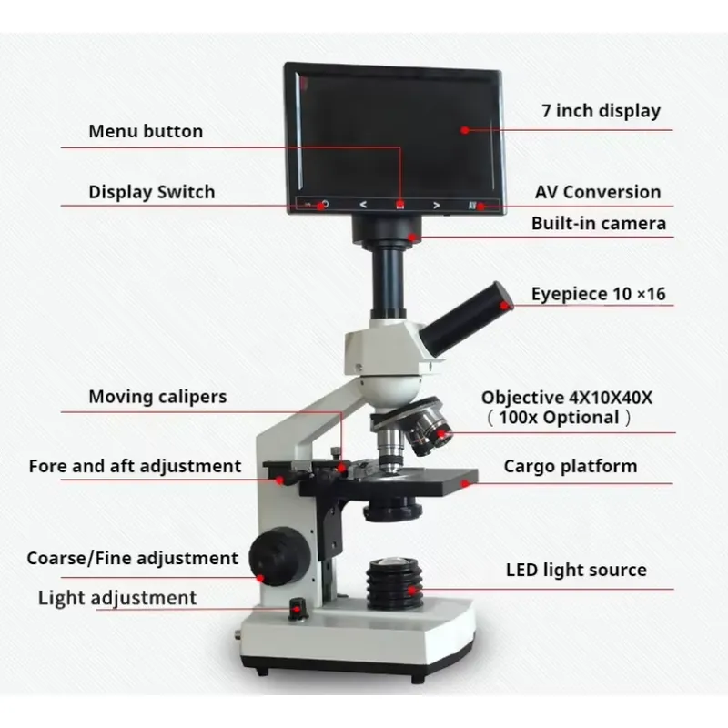 Microscopi Binoculari Biologic - Medical Lab Microscope recensione e prezzo