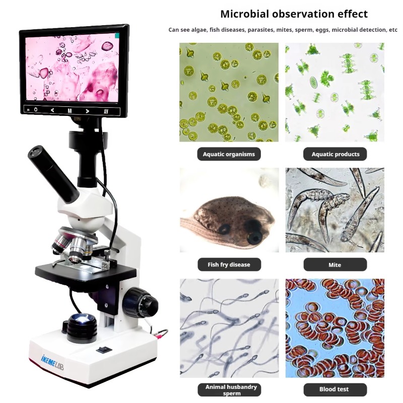 Microscopio Biologico Digitale - Medical Lab Microscope recensione e prezzo