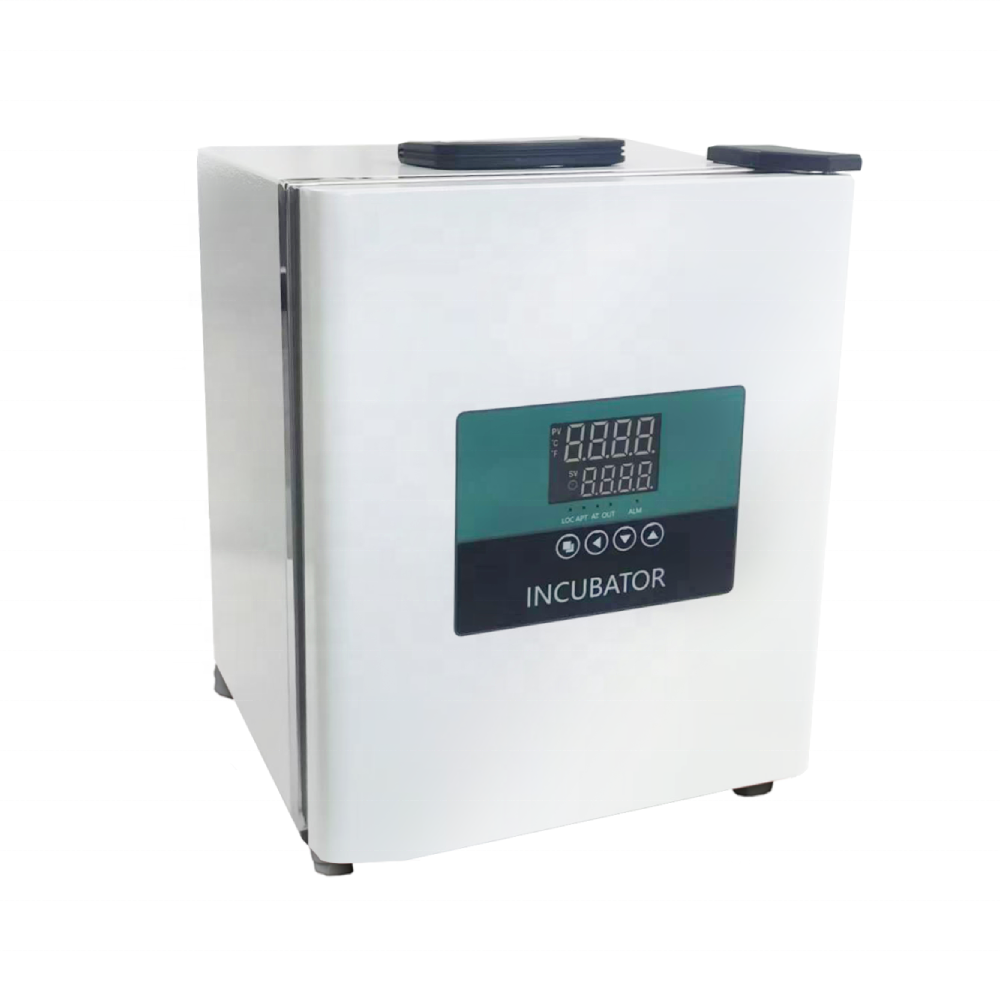 Incubatrice portatile da labor - Medical Lab Microbiology recensione e prezzo