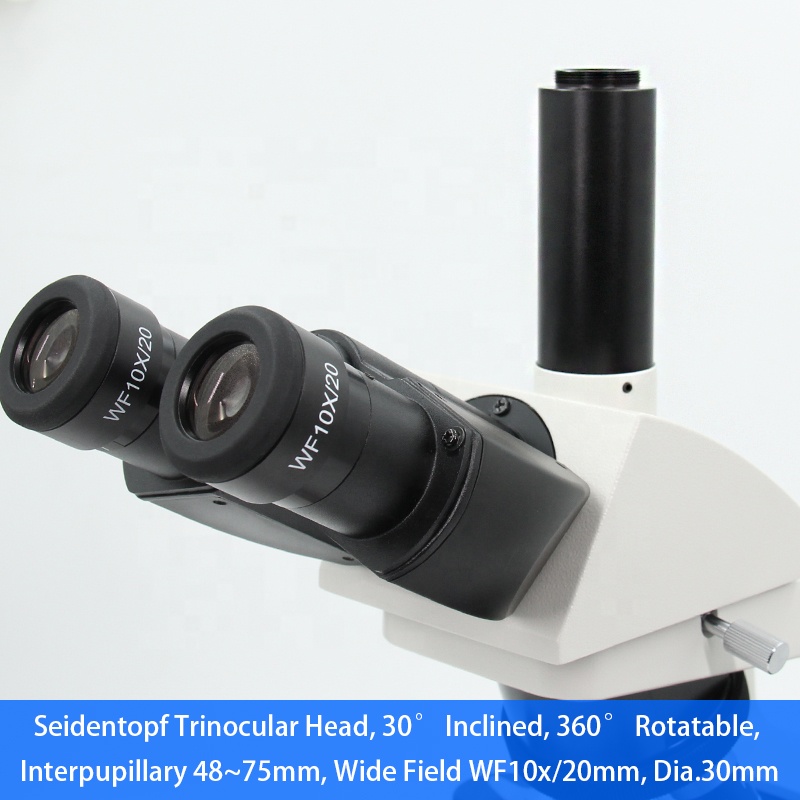 Microscopio da laboratorio med - Medical Lab Microscope recensione e prezzo