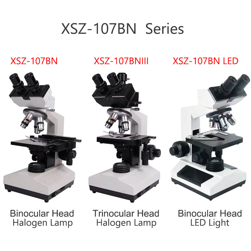 Microscopio Biologico Binocula - Medical Lab Microscope recensione e prezzo