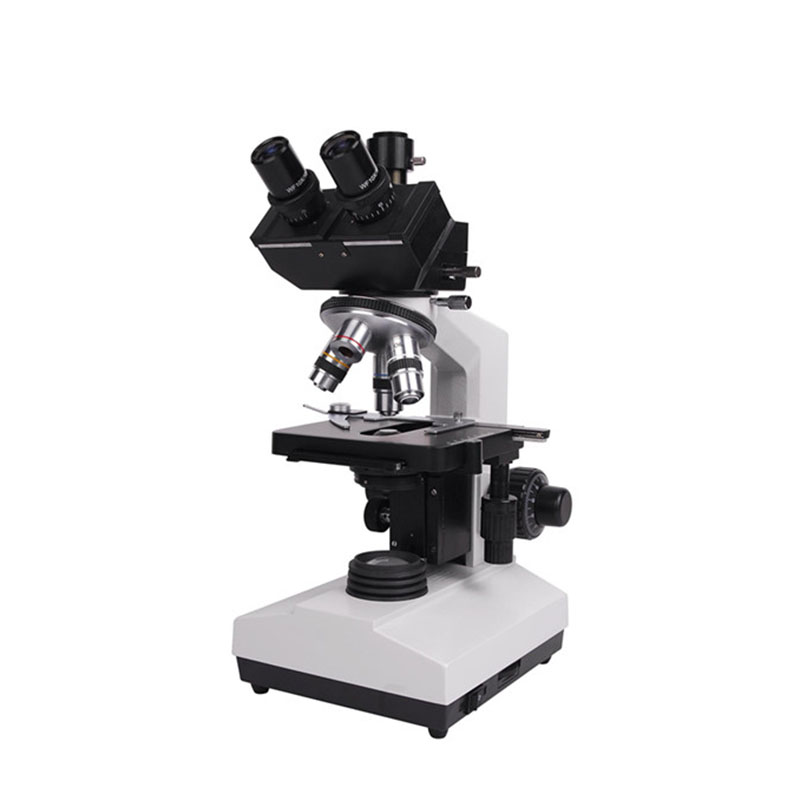 Microscopio Biologico Binocula - Medical Lab Microscope recensione e prezzo