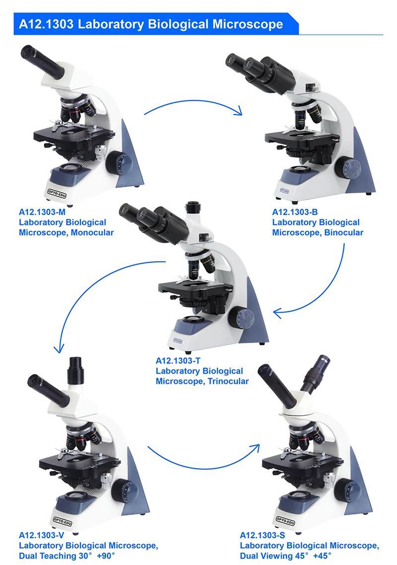 OPTO-EDU A12.1303-B 40x~1000x  - Medical Lab Microscope recensione e prezzo