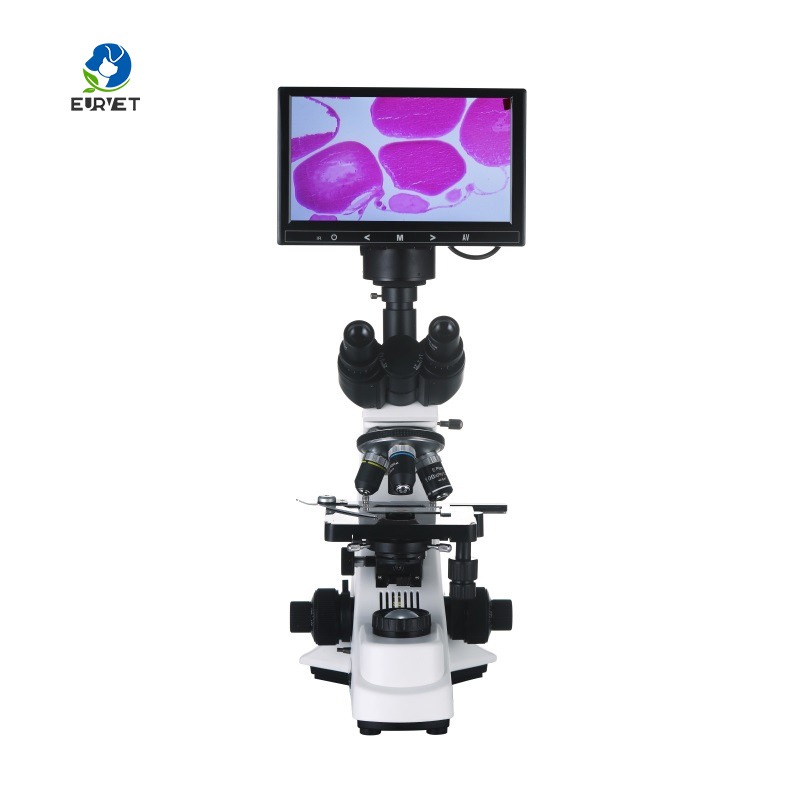 Microscopio Biologico Digitale - Medical Lab Microscope recensione e prezzo