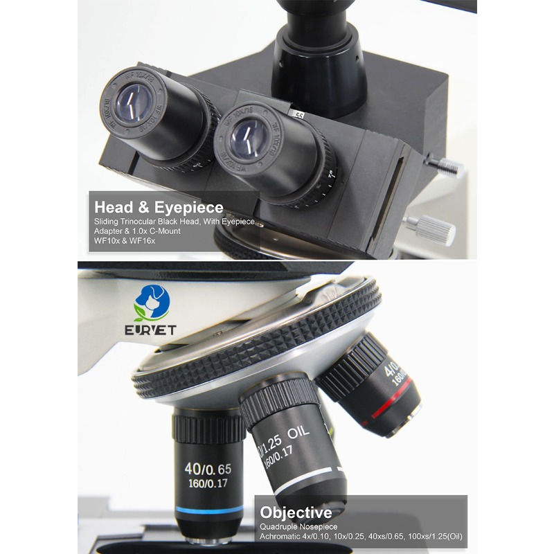 Microscopio Biologico Digitale - Medical Lab Microscope recensione e prezzo