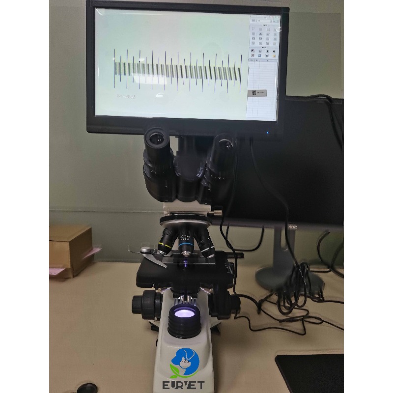 Microscopio Biologico Digitale - Medical Lab Microscope recensione e prezzo
